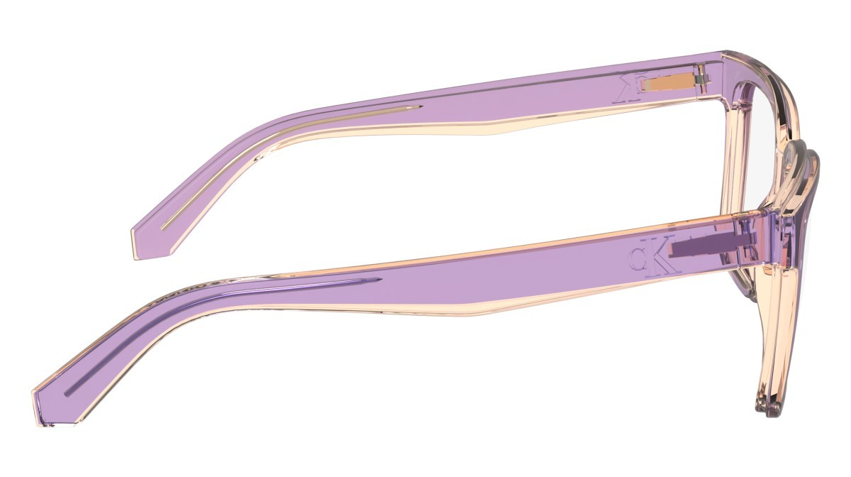 Brillen Calvin Klein Jeans CKJ24619 (675) farbe pink form rechteckig 