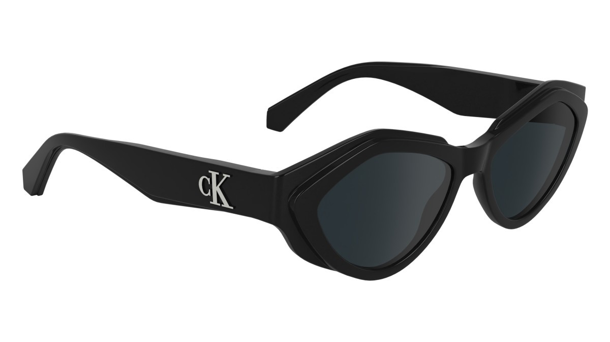 Sonnenbrillen Calvin Klein Jeans CKJ24621S (001) farbe black form rechteckig gläser solid smoke