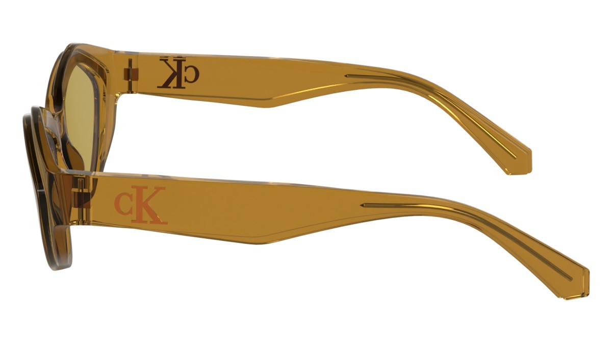 Sonnenbrillen Calvin Klein Jeans CKJ24621S (618) farbe brick/amber form rechteckig gläser solid ocher