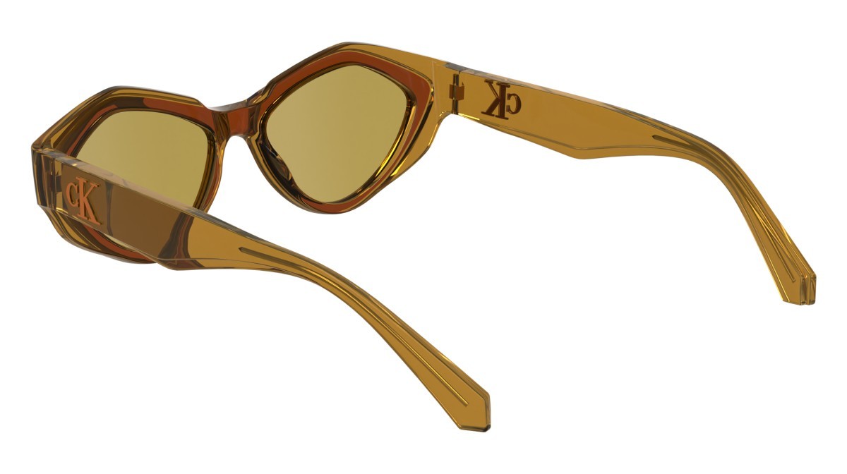 Sonnenbrillen Calvin Klein Jeans CKJ24621S (618) farbe brick/amber form rechteckig gläser solid ocher