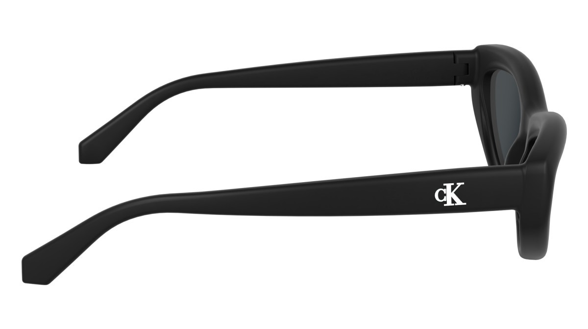 Sonnenbrillen Calvin Klein Jeans CKJ24624S (001) farbe black form cat-eye gläser solid smoke