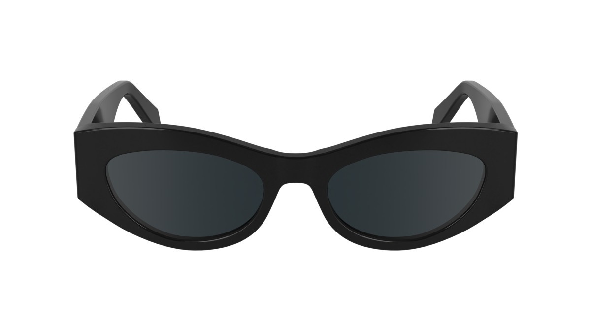 Sonnenbrillen Calvin Klein Jeans CKJ24626S (001) farbe black form schmetterling gläser solid smoke