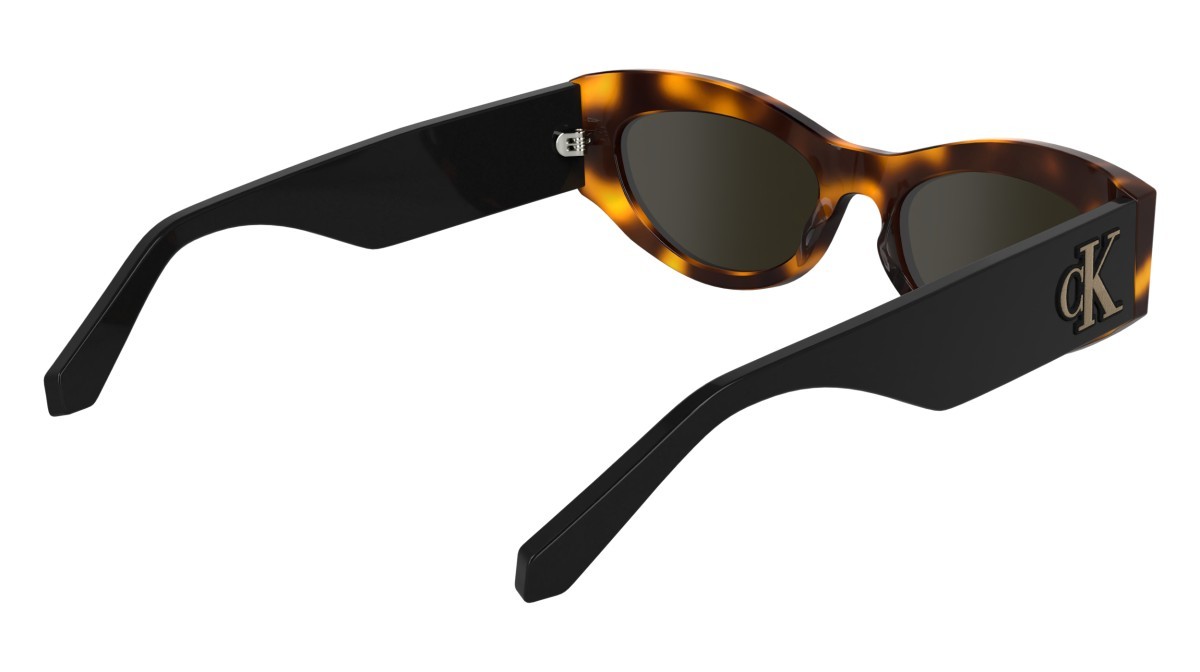 Sonnenbrillen Calvin Klein Jeans CKJ24626S (235) farbe havana form schmetterling gläser solid brown