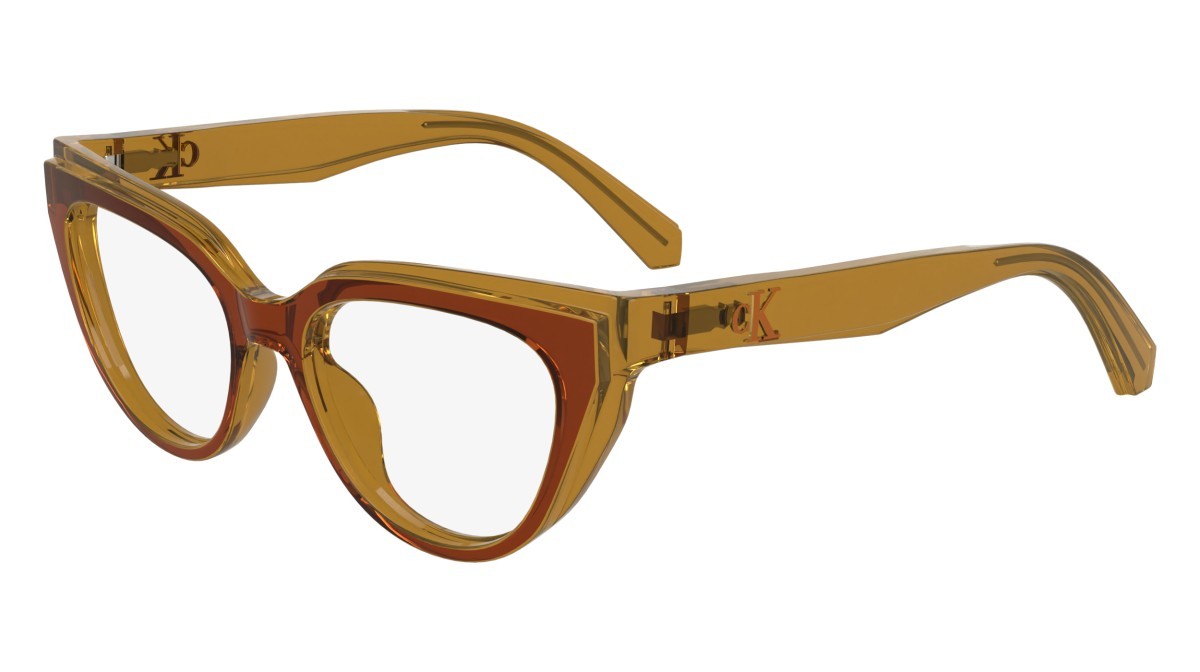 Brillen Calvin Klein Jeans CKJ24628 (618) farbe brick/amber form schmetterling gläser colore 2