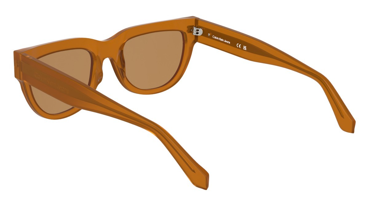 Sonnenbrillen Calvin Klein Jeans CKJ25600S (201) farbe brown to havana form cat-eye gläser solid orange