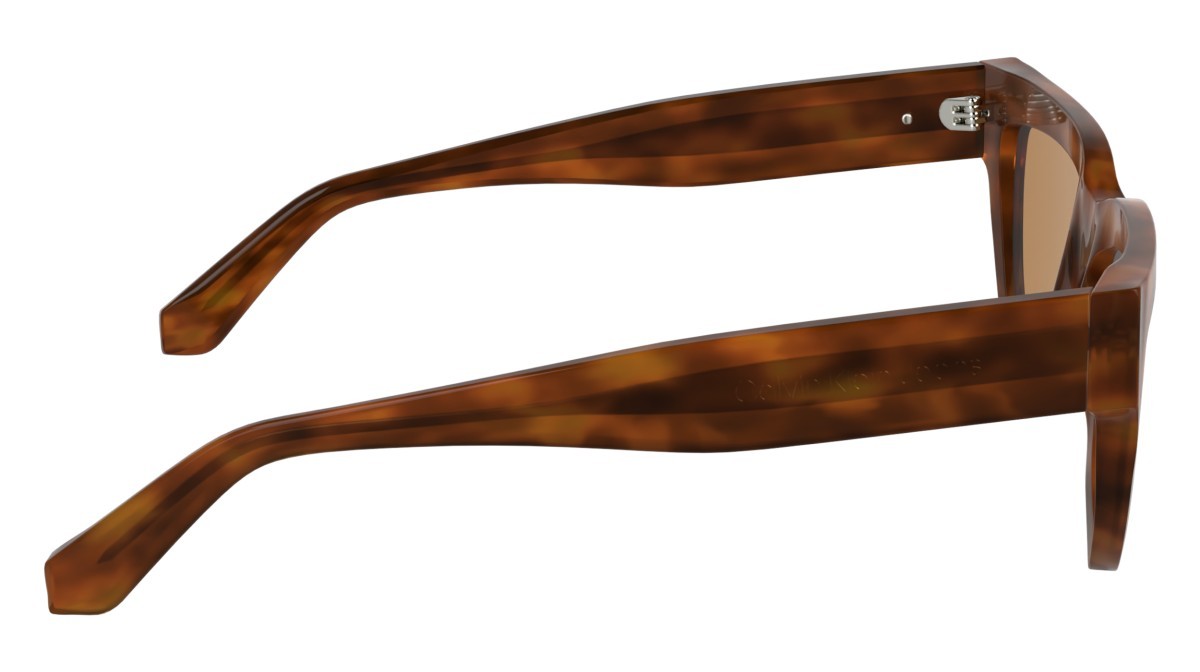 Sonnenbrillen Calvin Klein Jeans CKJ25600S (201) farbe brown to havana form cat-eye gläser solid orange