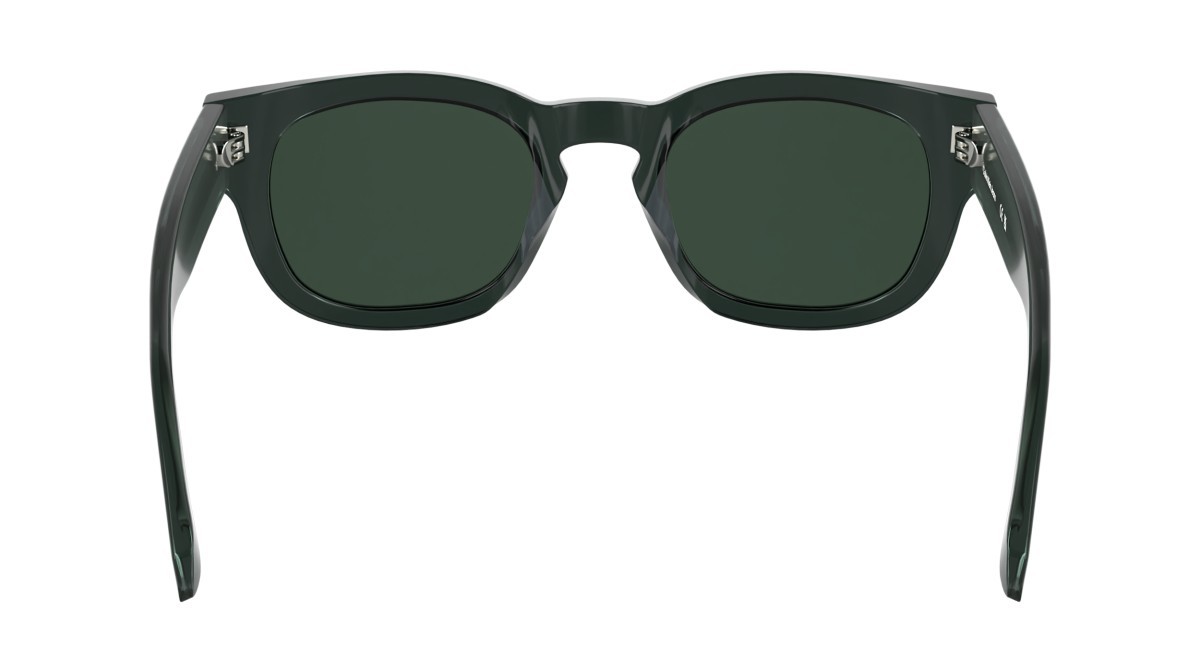 Sonnenbrillen Calvin Klein Jeans CKJ25601S (057) farbe grey to dark grey form pantos gläser solid green