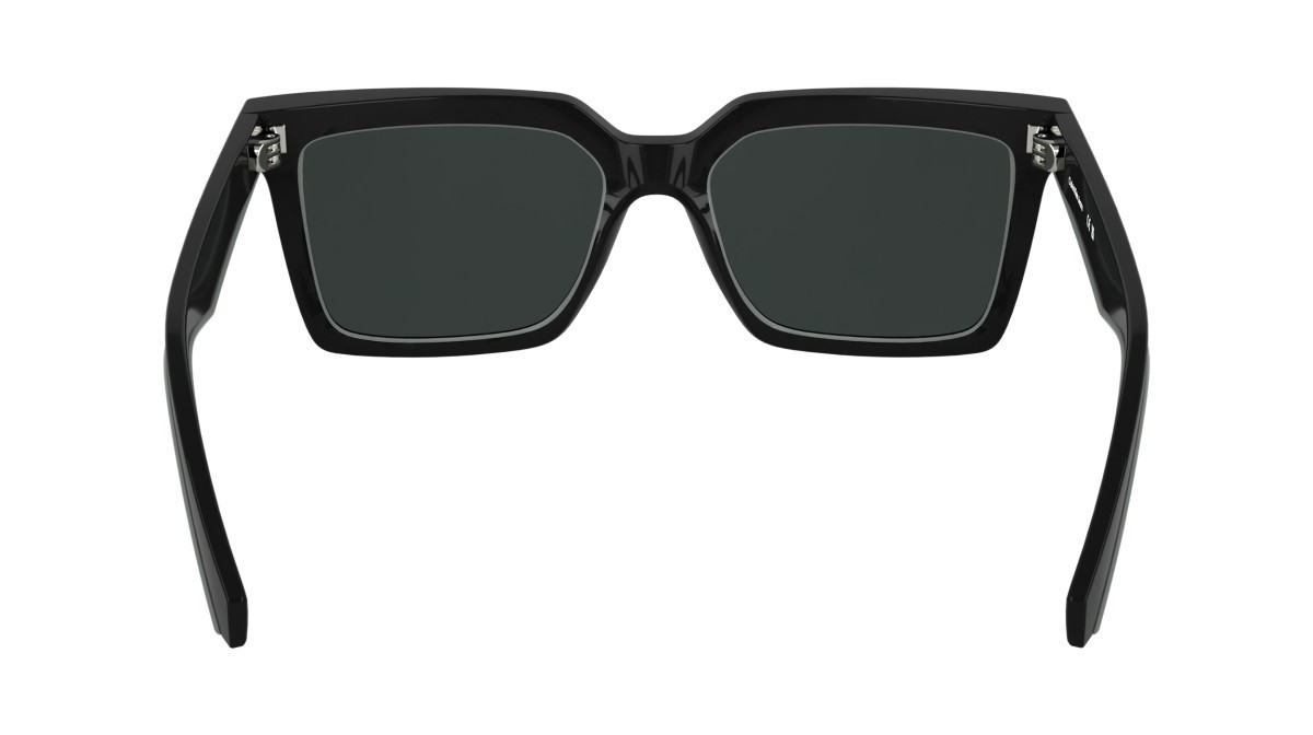 Sonnenbrillen Calvin Klein Jeans CKJ25602S (001) farbe black form rechteckig gläser solid grey