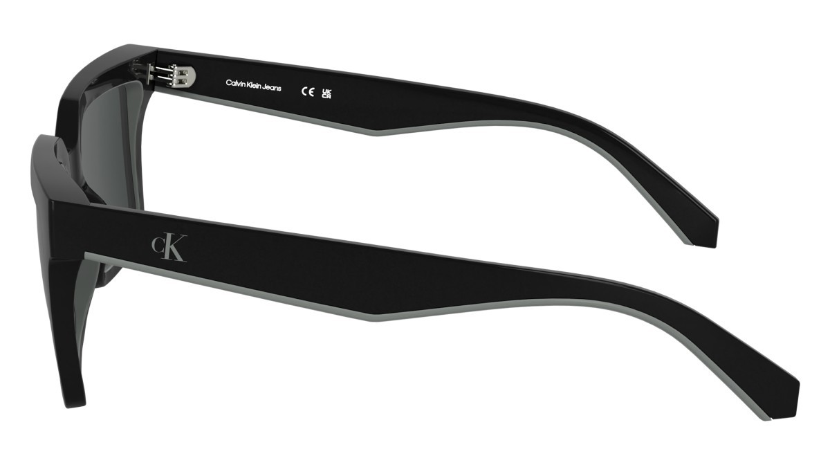 Sonnenbrillen Calvin Klein Jeans CKJ25602S N (001) farbe black form rechteckig 