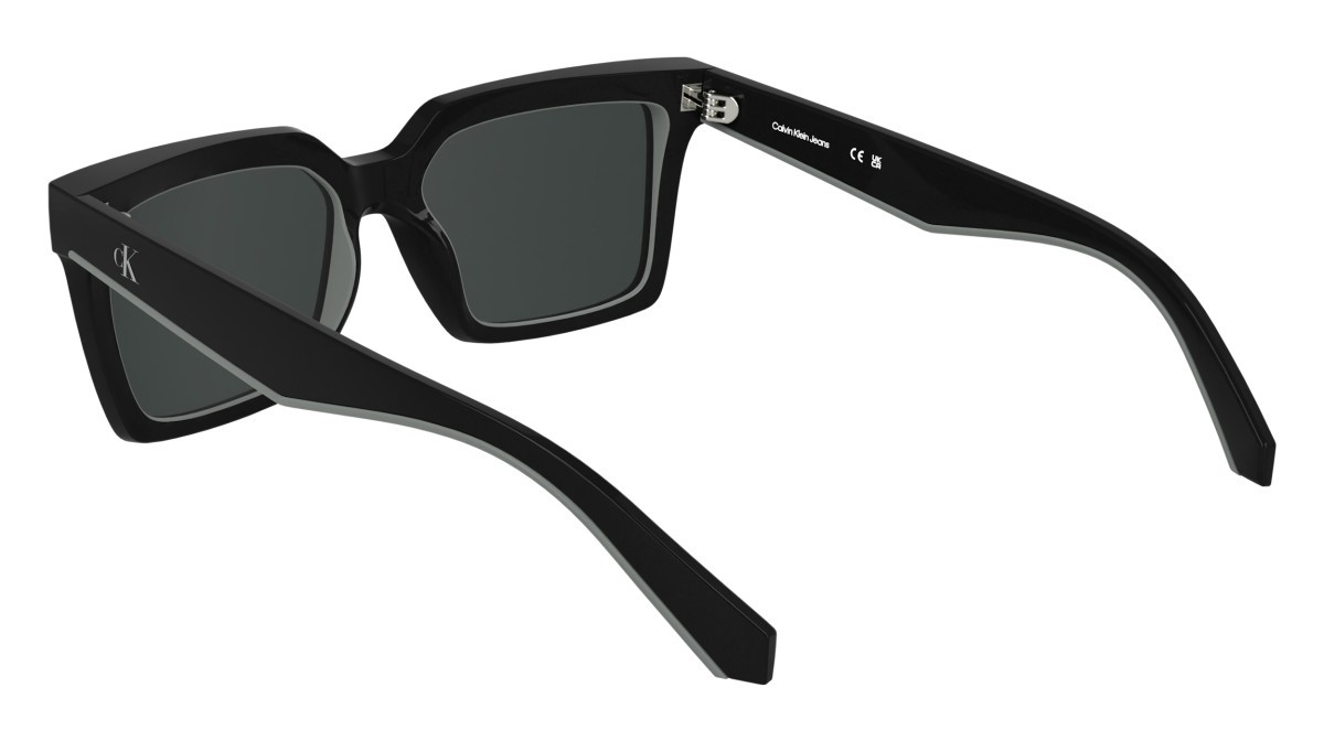 Sonnenbrillen Calvin Klein Jeans CKJ25602S N (001) farbe black form rechteckig 
