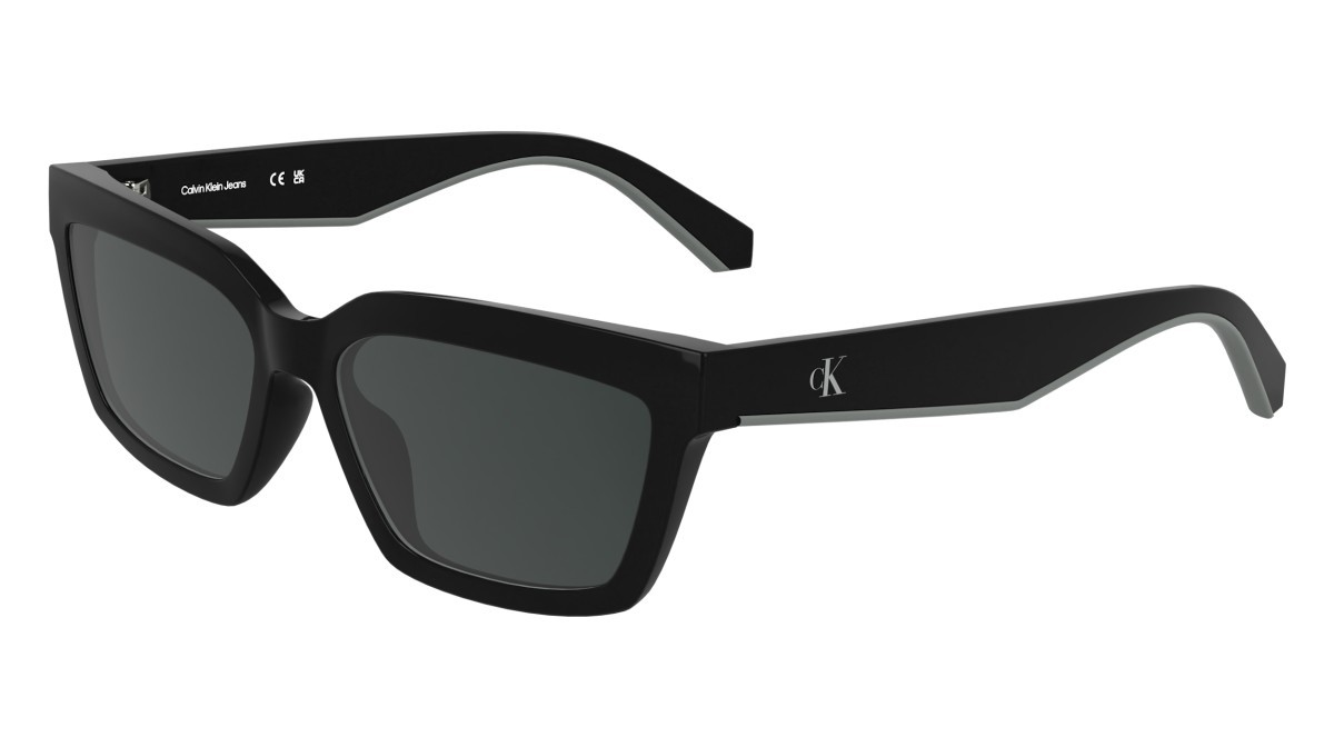 Sonnenbrillen Calvin Klein Jeans CKJ25604S (001) farbe black form rechteckig gläser solid grey