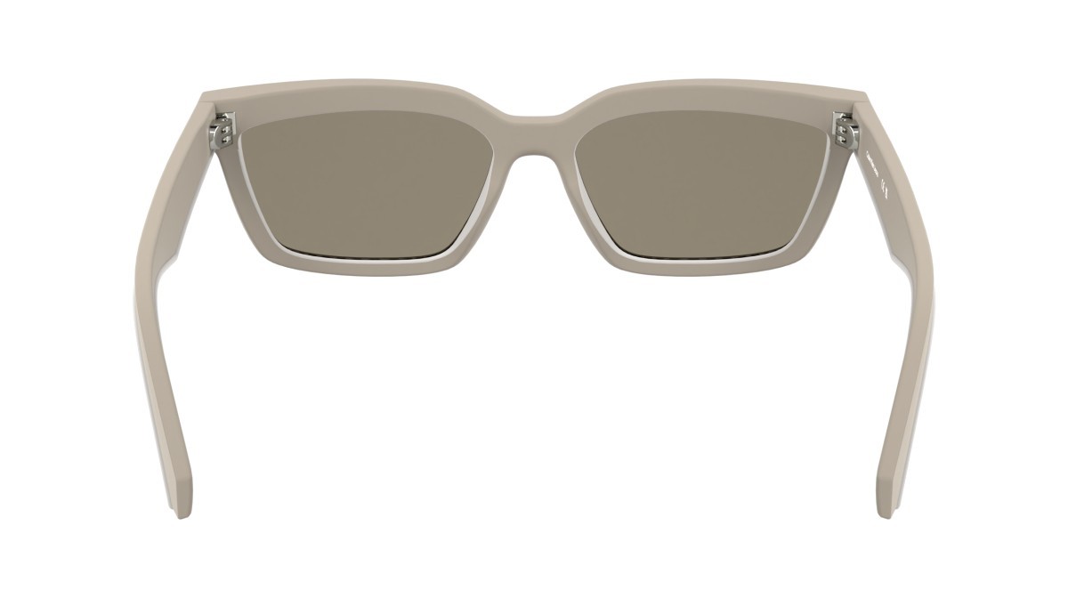 Sonnenbrillen Calvin Klein Jeans CKJ25604S (671) farbe matte blush form rechteckig gläser solid nude