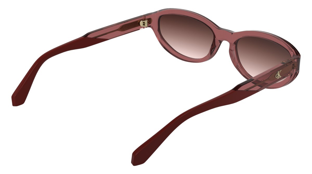 Sonnenbrillen Calvin Klein Jeans CKJ25618S (600) farbe transparent red form cat-eye gläser gradient purple/rose