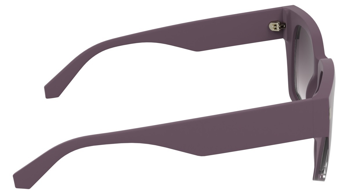 Sunglasses Calvin Klein Jeans CKJ25620S (664) color mauve shape butterfly lenses gradient purple