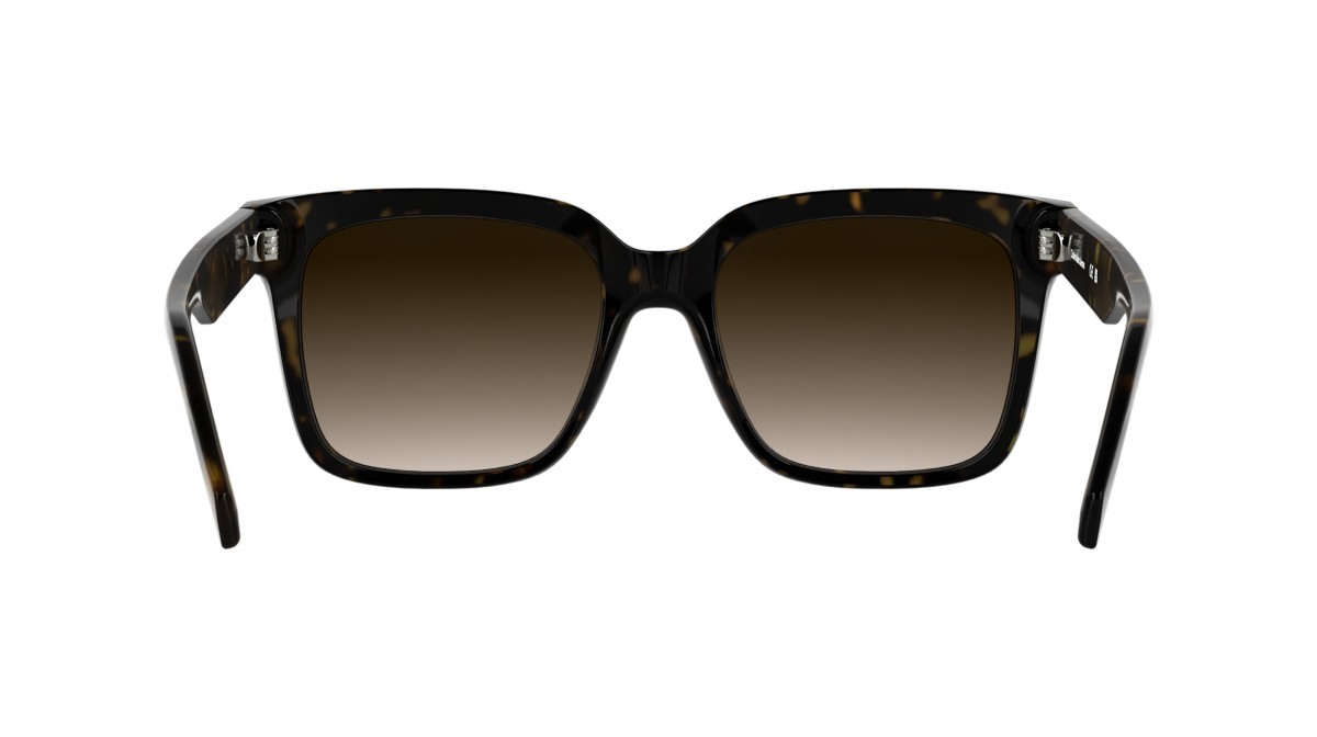 Sonnenbrillen Calvin Klein Jeans CKJ25624S (242) farbe dark havana form quadratisch gläser gradient brown