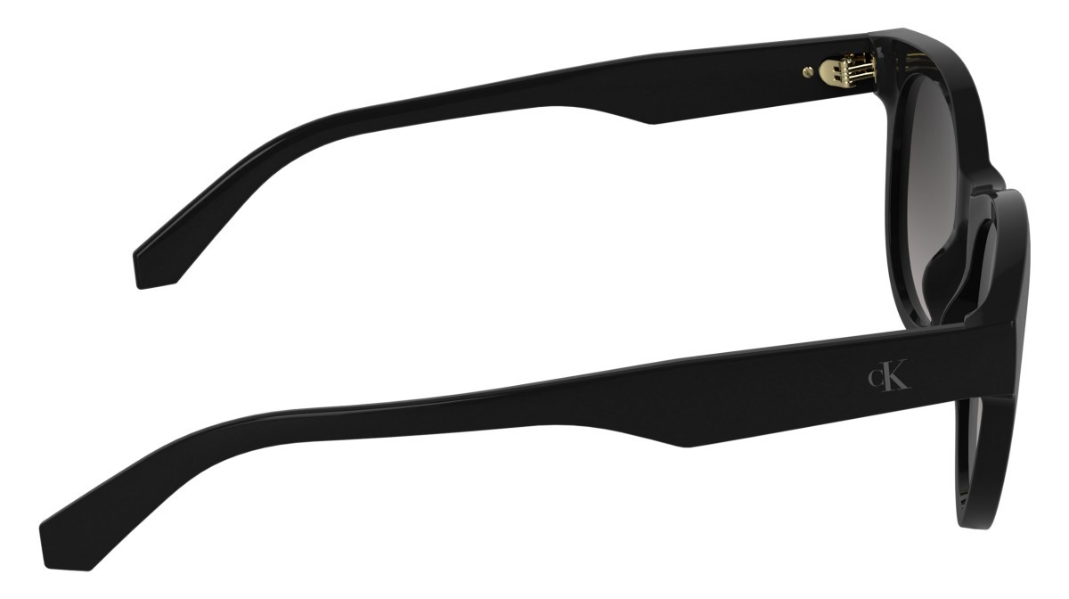 Sonnenbrillen Calvin Klein Jeans CKJ26600S (001) farbe black form rund gläser gradient smoke