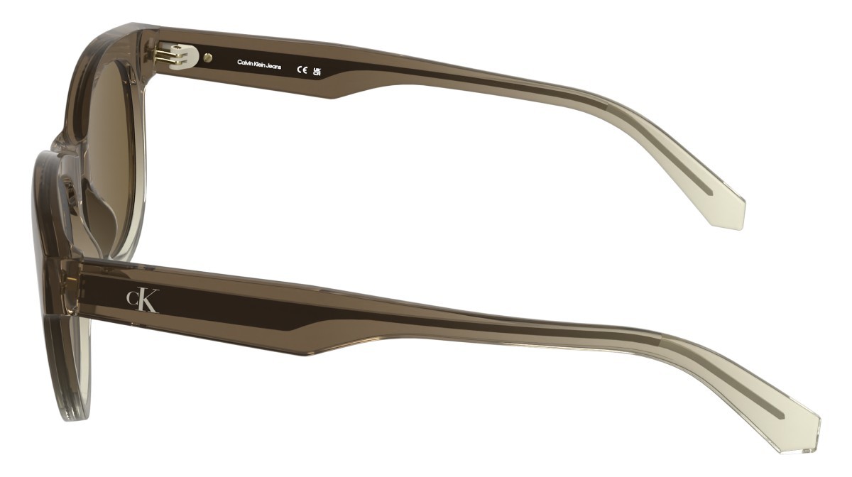 Sonnenbrillen Calvin Klein Jeans CKJ26600S (211) farbe transparent gradient brown/san form rund gläser solid light brown