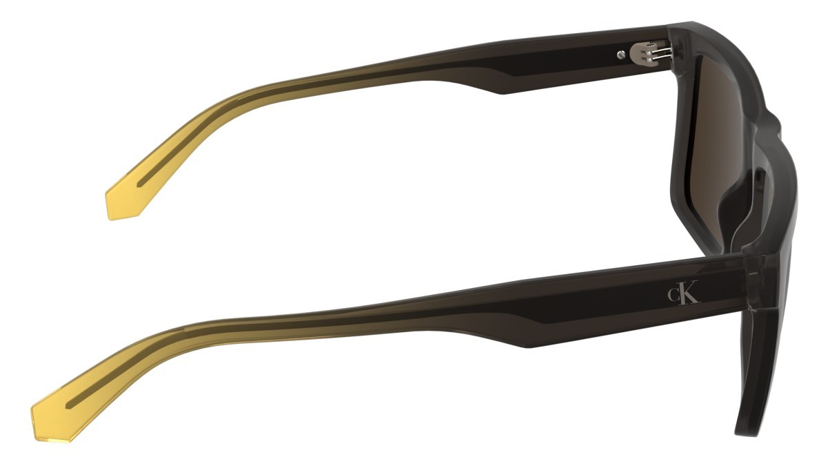 Sonnenbrillen Calvin Klein Jeans CKJ26601S (209) farbe matte transparent dark brown form rechteckig gläser solid brown