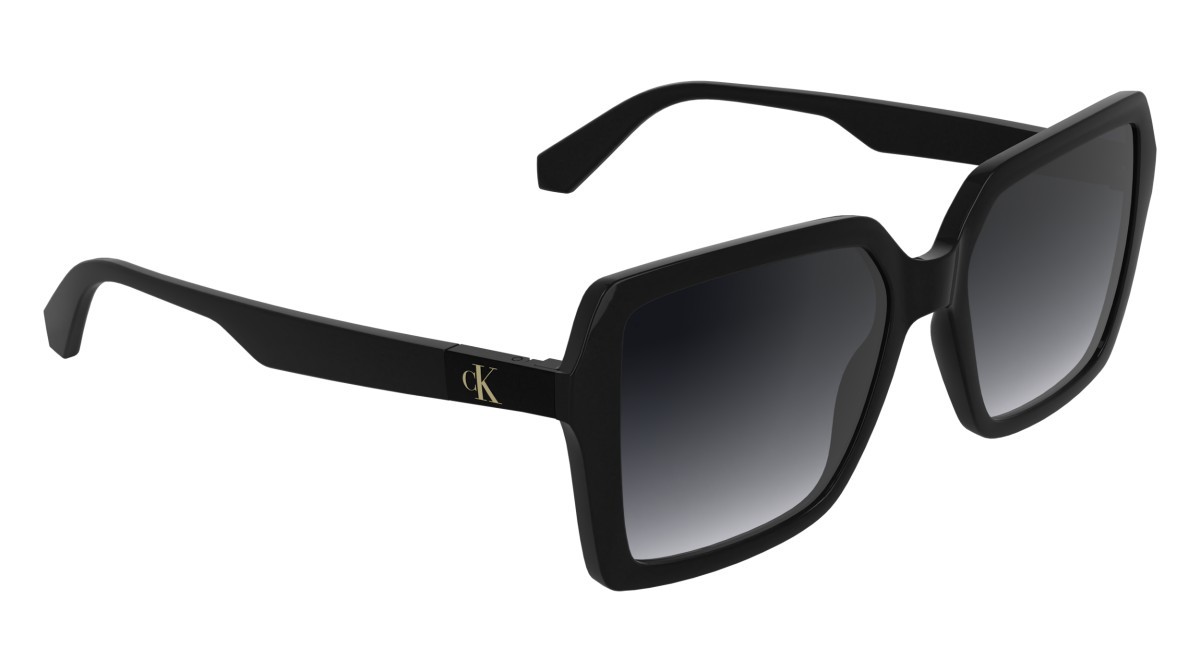 Sonnenbrillen Calvin Klein Jeans CKJ26602S (001) farbe black form rechteckig gläser gradient smoke