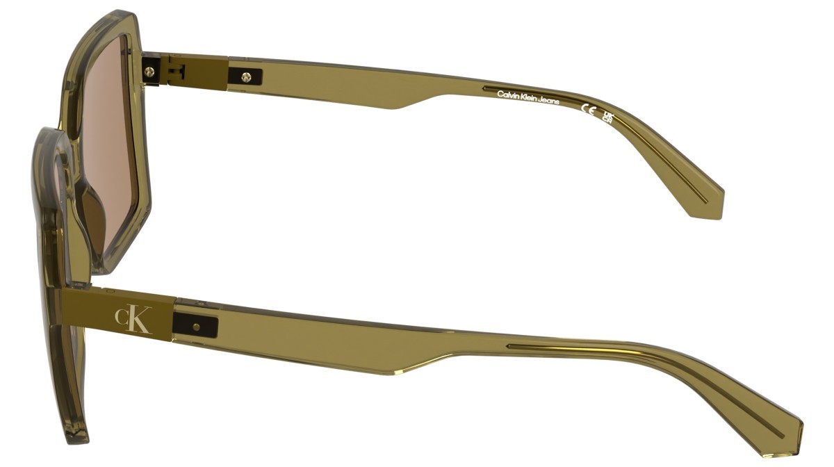 Sonnenbrillen Calvin Klein Jeans CKJ26602S (213) farbe transparent honey form rechteckig gläser solid ochre