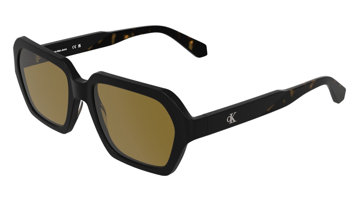 Sonnenbrillen Calvin Klein Jeans CKJ26605S (001) farbe black form rechteckig gläser solid brown