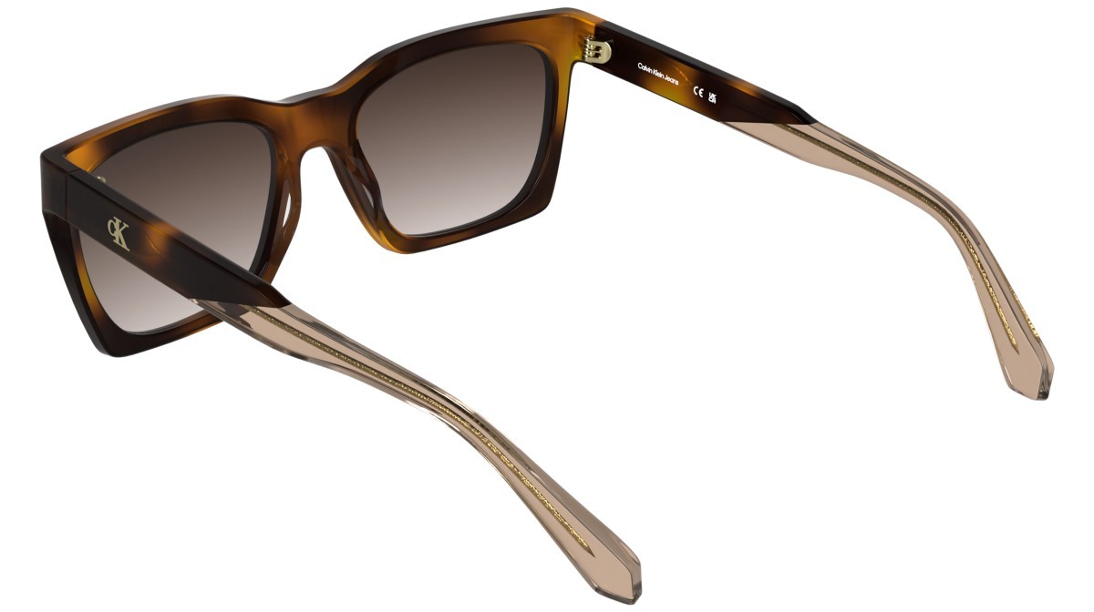 Sonnenbrillen Calvin Klein Jeans CKJ26606S (235) farbe havana form cat-eye gläser gradient brown