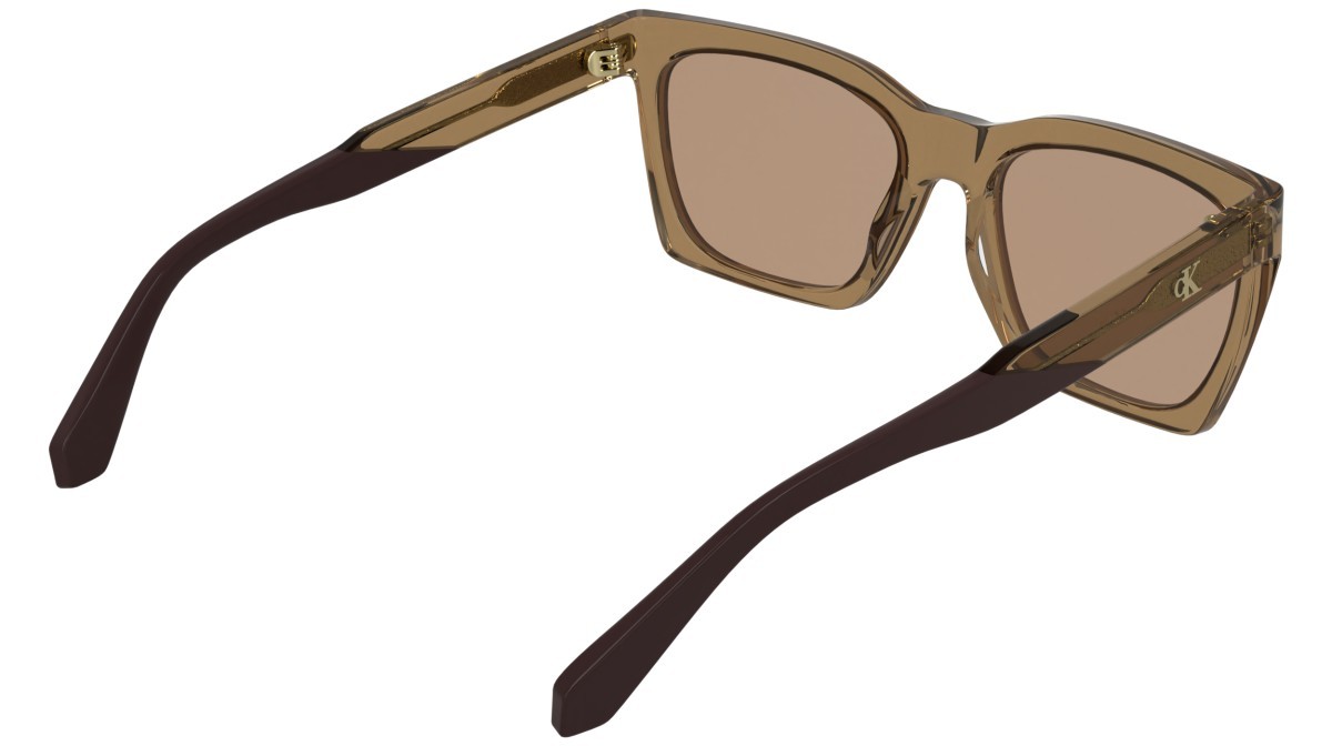 Sonnenbrillen Calvin Klein Jeans CKJ26606S (261) farbe transparent amber form cat-eye gläser solid brown