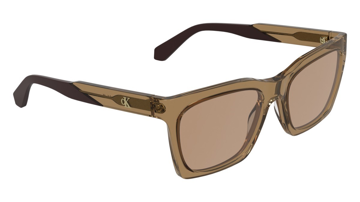 Sonnenbrillen Calvin Klein Jeans CKJ26606S (261) farbe transparent amber form cat-eye gläser solid brown