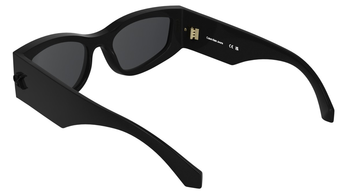 Sonnenbrillen Calvin Klein Jeans CKJ26608S (001) farbe black form cat-eye gläser grey