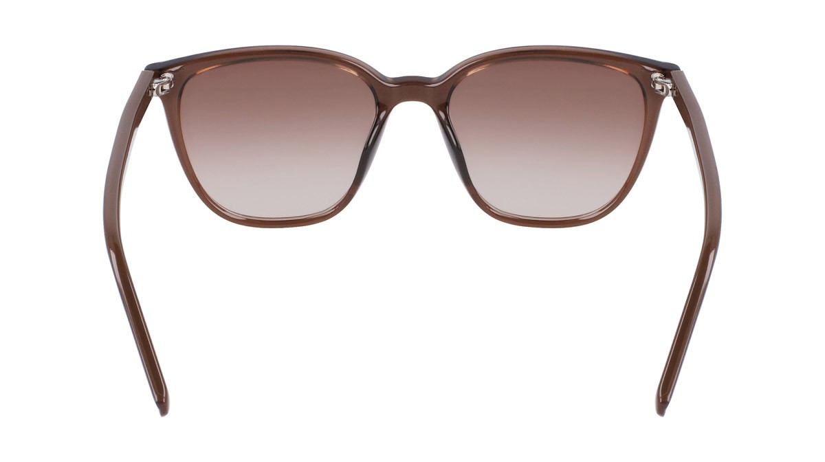 Sunglasses Converse CV528S ELEVATE (201) color crystal brazil nut shape square 