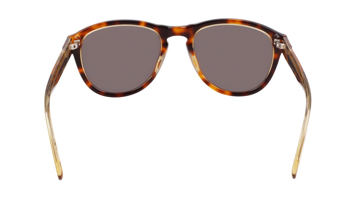 Sonnenbrillen Converse CV567S (243) farbe soft tortoise/amber laminate form aviator gläser solid green