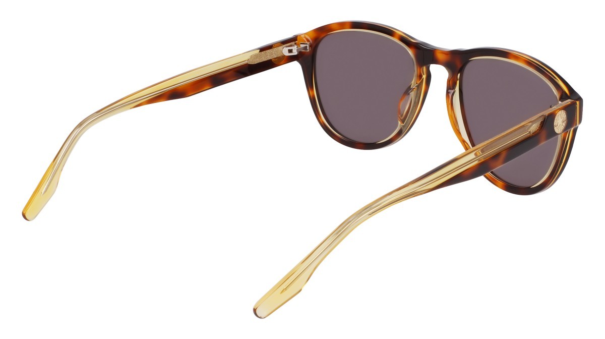 Sonnenbrillen Converse CV567S (243) farbe soft tortoise/amber laminate form aviator gläser solid green