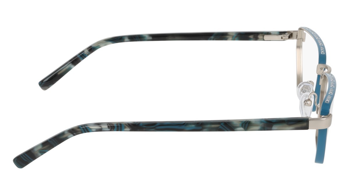 Eyeglasses Dkny DK1038 (042) color satin silver shape pantos 