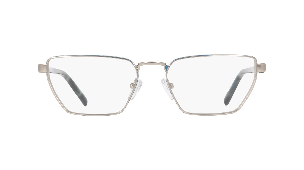 Eyeglasses Dkny DK1038 (042) color satin silver shape pantos 