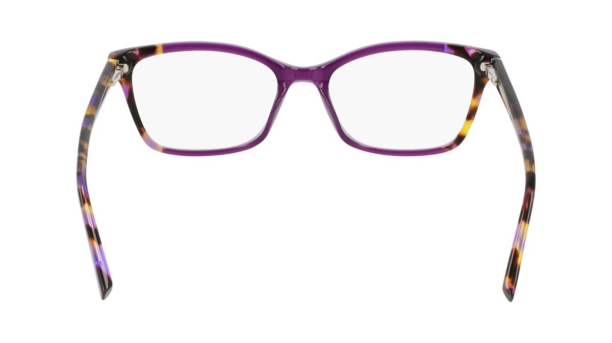 Eyeglasses Dkny DK5034 (520) color amethyst crystal/violet tortoi shape rectangle 