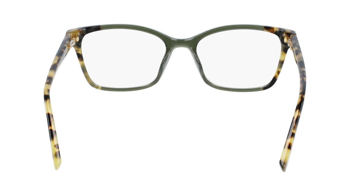 Eyeglasses Dkny DK5034 N (281) color tokyo tortoise/green shape rectangle 