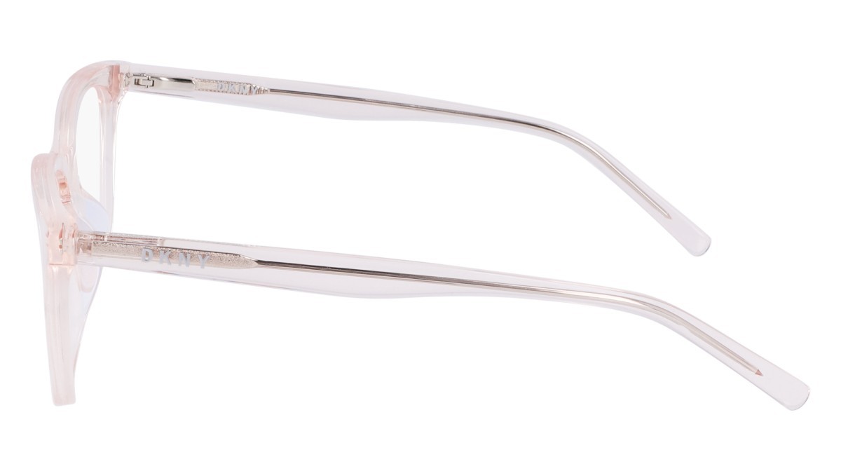 Eyeglasses Dkny DK5040 N (820) color crystal light peach shape rectangle 