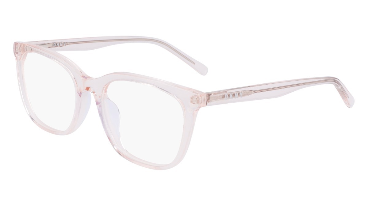 Eyeglasses Dkny DK5040 N (820) color crystal light peach shape rectangle 