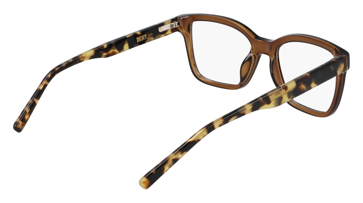 Eyeglasses Dkny DK5069 (220) color chai crystal shape pantos 