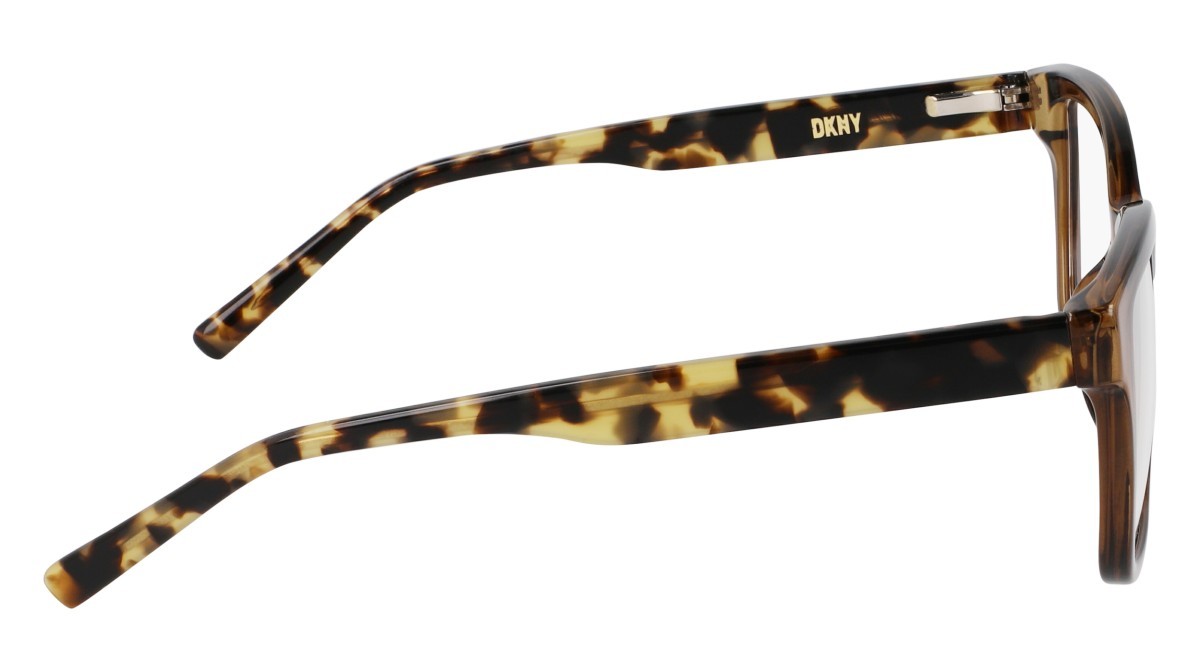 Eyeglasses Dkny DK5069 (220) color chai crystal shape pantos 
