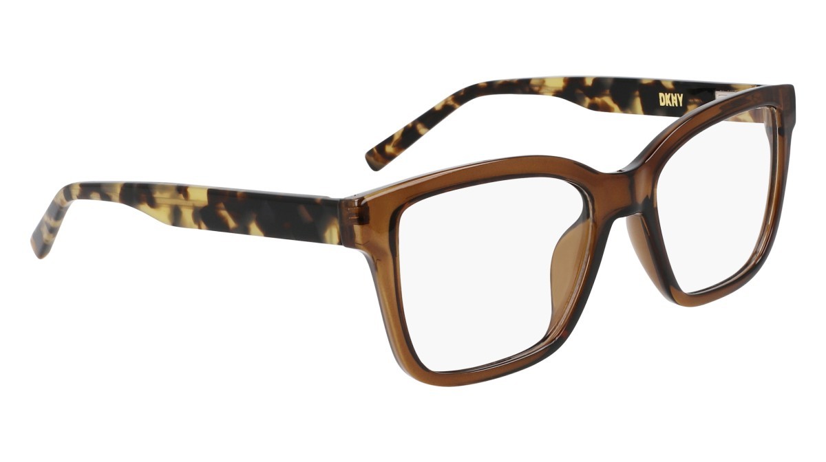 Eyeglasses Dkny DK5069 (220) color chai crystal shape pantos 