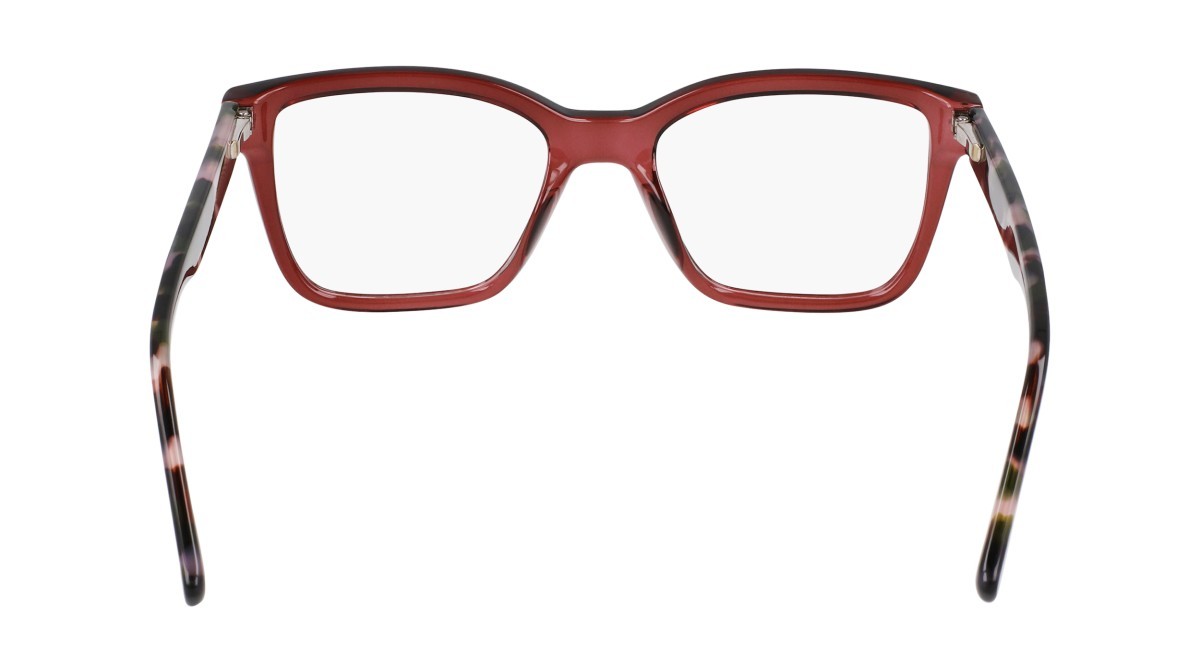 Eyeglasses Dkny DK5069 (608) color mauve crystal shape pantos 