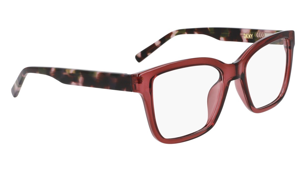 Eyeglasses Dkny DK5069 (608) color mauve crystal shape pantos 