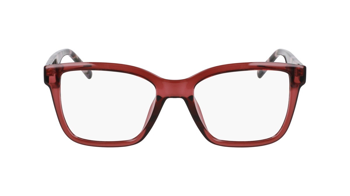 Eyeglasses Dkny DK5069 (608) color mauve crystal shape pantos 