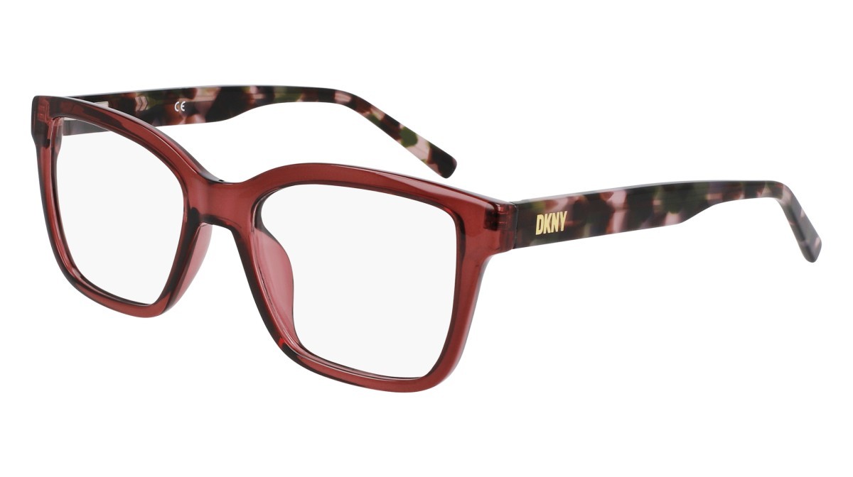 Eyeglasses Dkny DK5069 (608) color mauve crystal shape pantos 