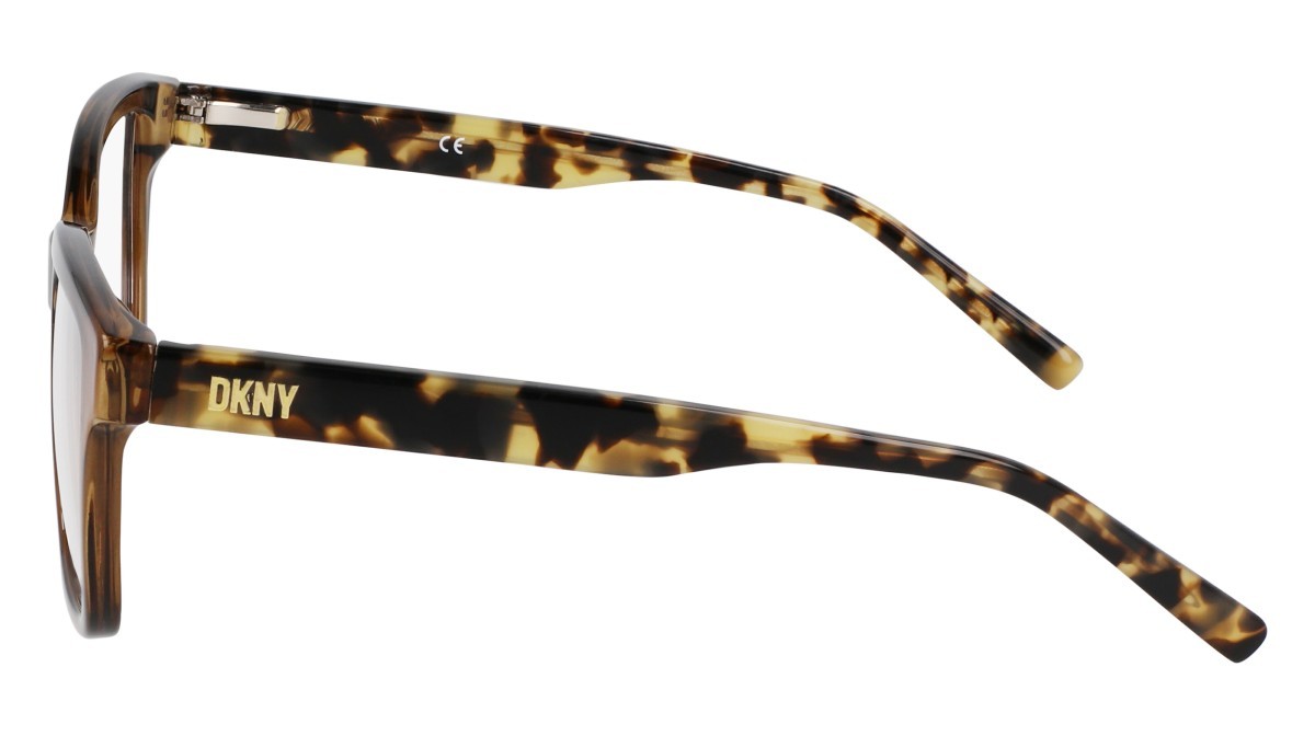 Eyeglasses Dkny DK5069 N (220) color chai crystal shape pantos 
