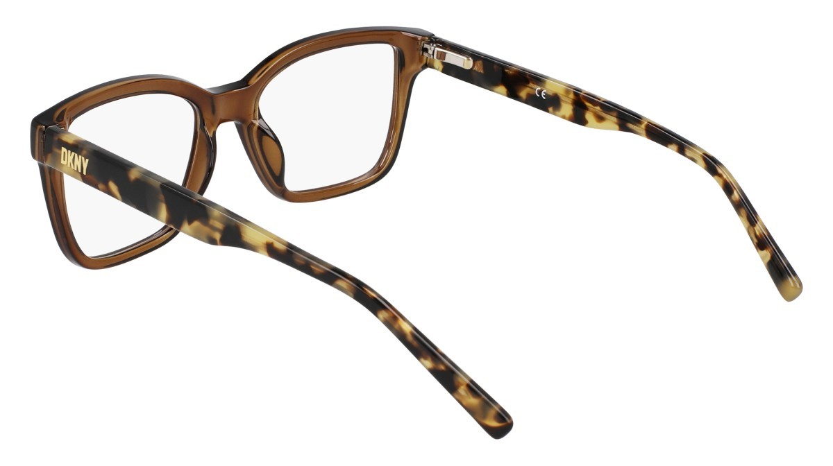 Eyeglasses Dkny DK5069 N (220) color chai crystal shape pantos 