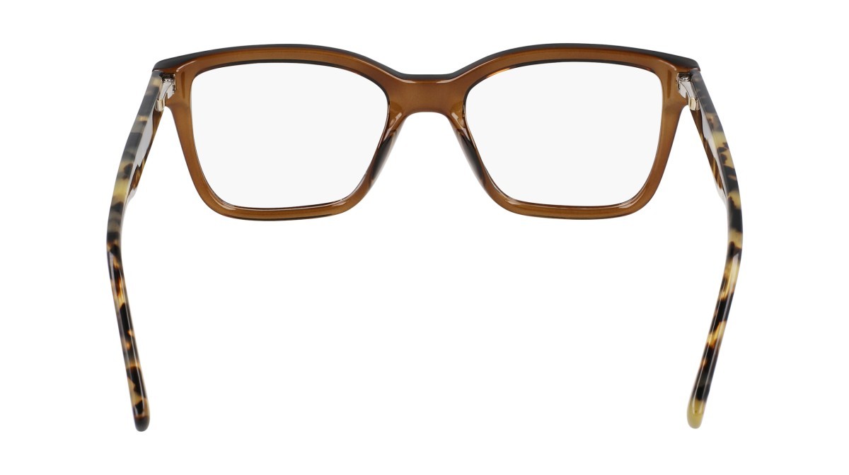 Eyeglasses Dkny DK5069 N (220) color chai crystal shape pantos 