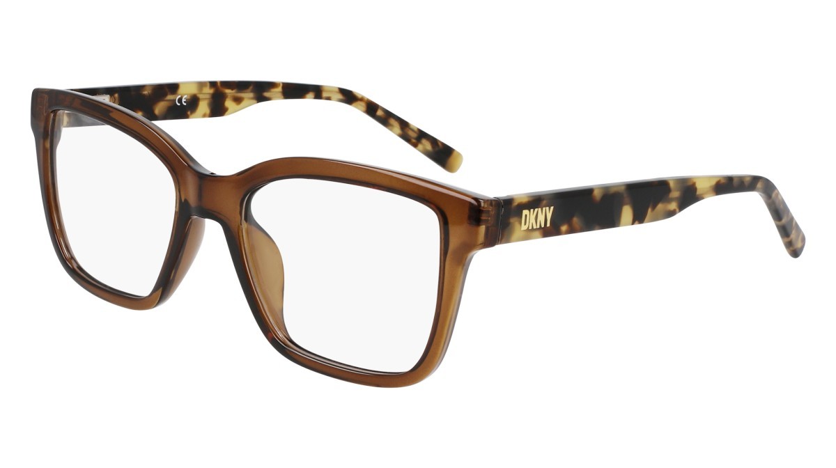 Eyeglasses Dkny DK5069 N (220) color chai crystal shape pantos 