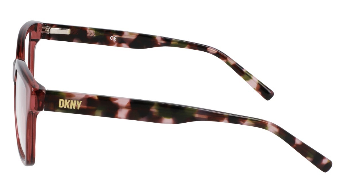 Eyeglasses Dkny DK5069 N (608) color mauve crystal shape pantos 